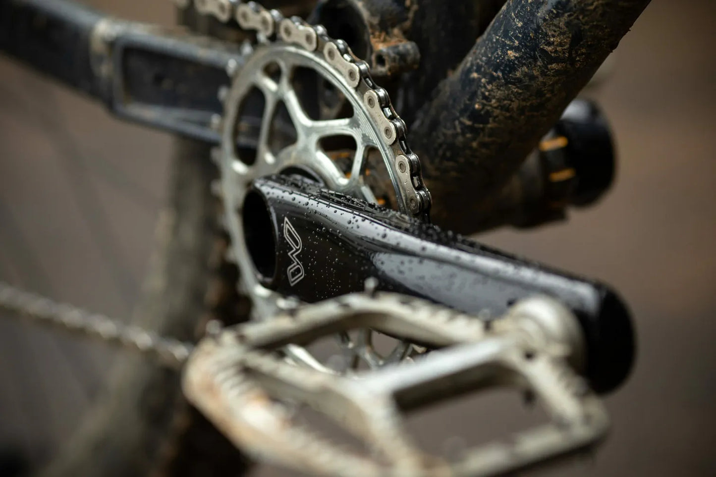 Cane Creek eeWings MTB Titanium Crank Arm