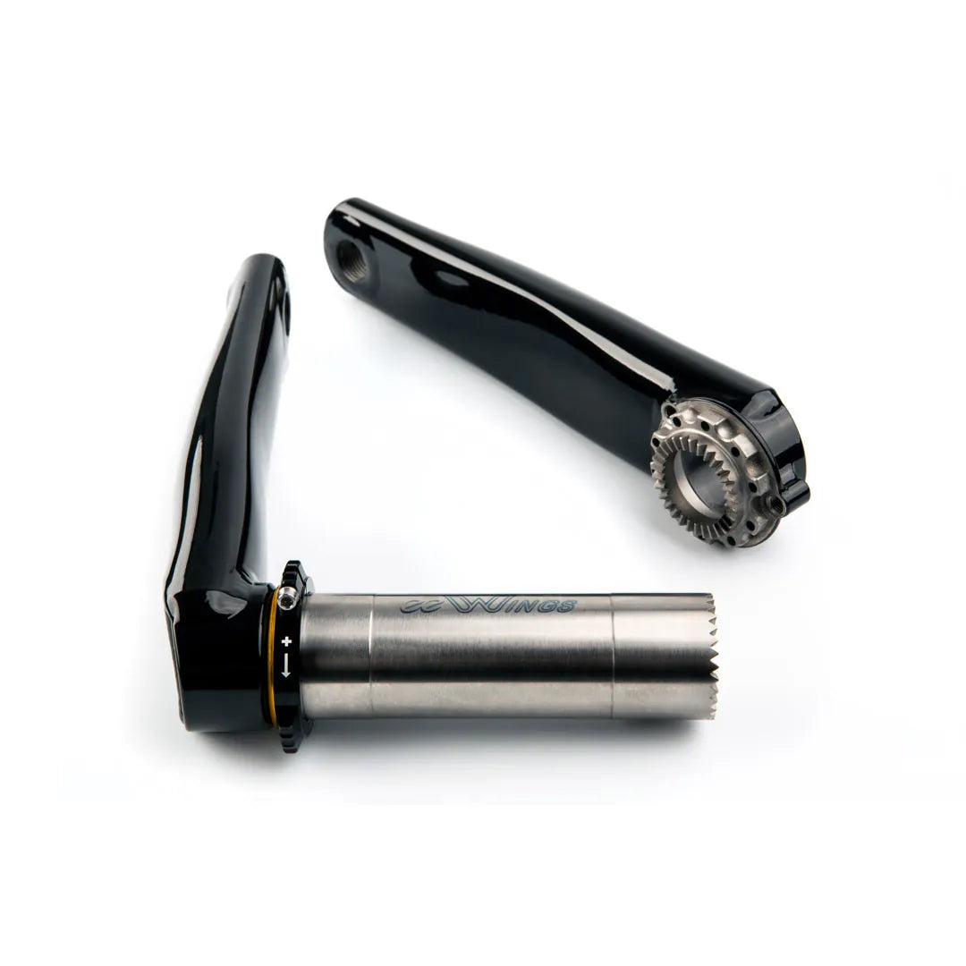 Cane Creek eeWings All-Road Raven Titanium Crank Arm