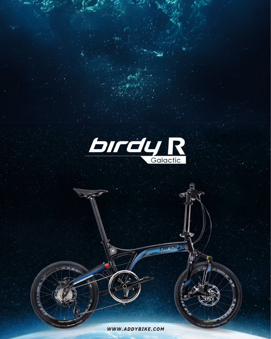 BIRDY 2025