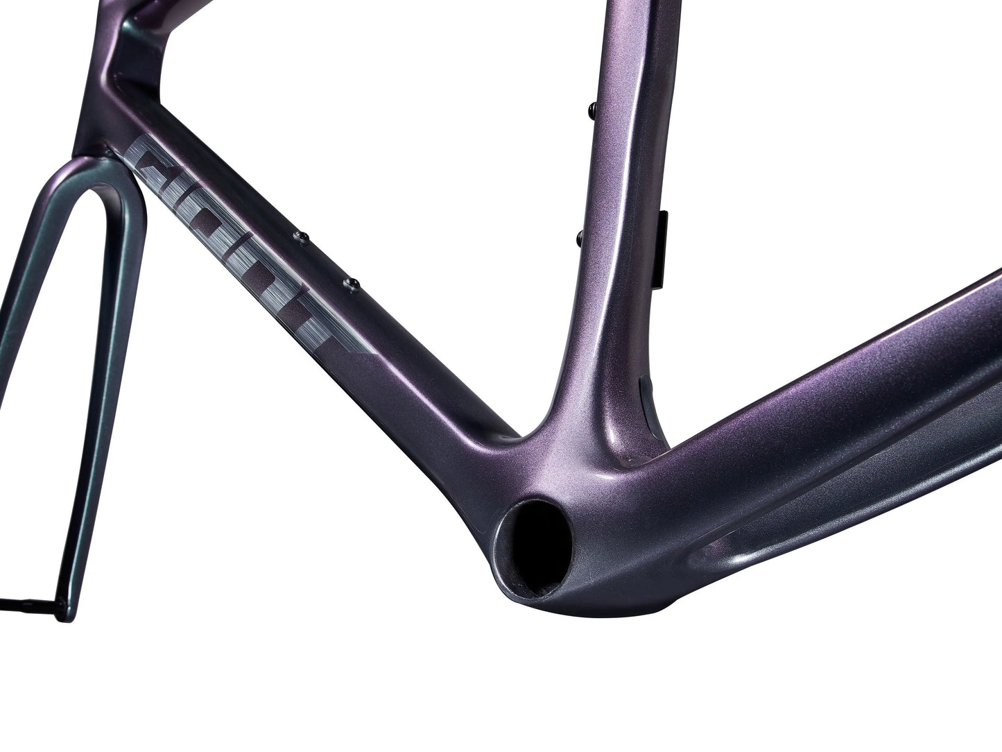 Giant 2025 TCR Advanced Pro 公路車車架連前叉/ GiantT 2025 TCR Advanced Pro Frame & Fork