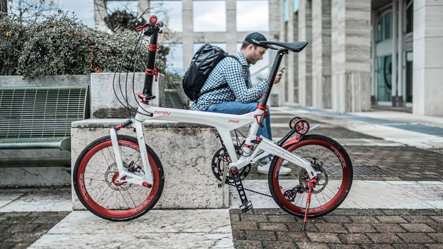RIDEA - Kickstands (Birdy) 腳撐