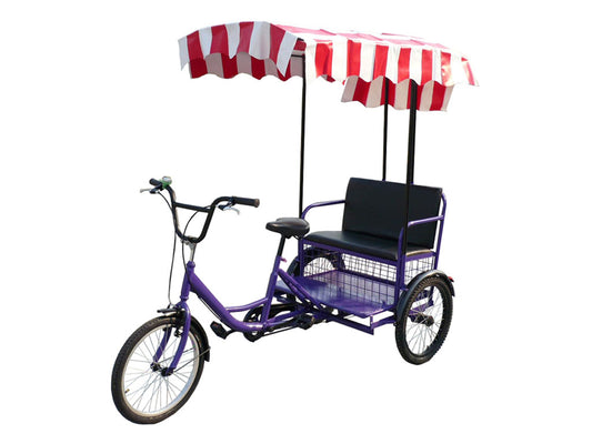 租用1小時 三人/四人家庭單車/小巴 / Rent Three/four person family bike/Min bus for one hour